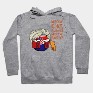 Baby Lasagna Eurovision Croatia Polandball Countryball Hoodie